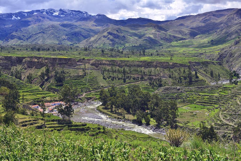 Aranwa Pueblito Encantado Del Colca Coporaque المظهر الخارجي الصورة